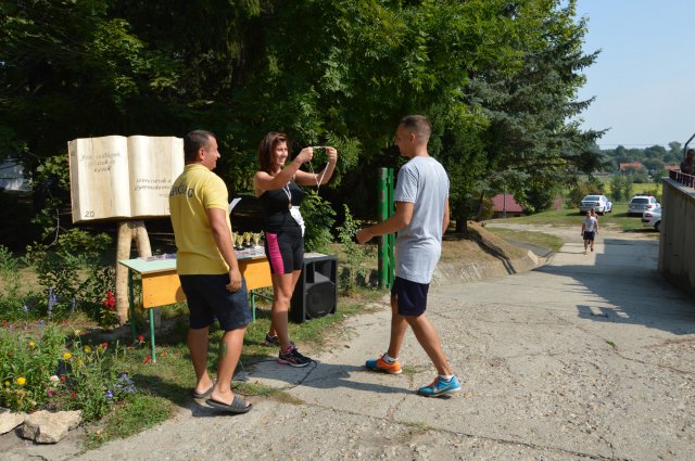 Falunap 2017